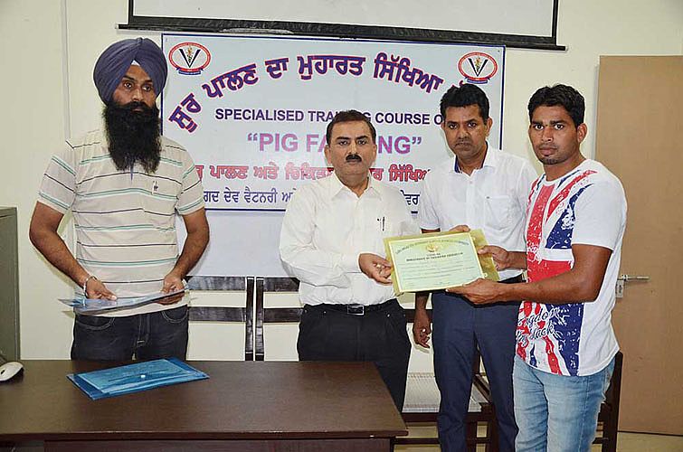 Pig farming training for the farmers was conclude 